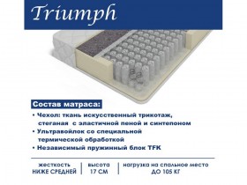 Матрас Triumph 800*2000 в Барнауле - barnaul.katalogmebeli.com | фото